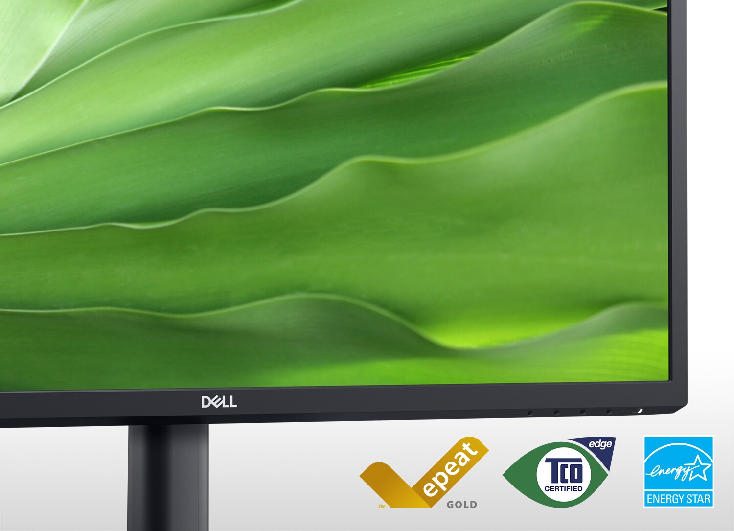 Ekranda Dell E2723H Monitör yeil yapraklarnn resmi.