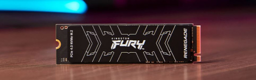 Kingston Fury Renegade SFYRS/1000G 1TB M.2 SSD Disk