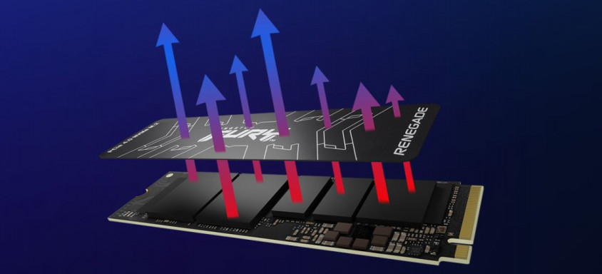 Kingston Fury Renegade SFYRS/1000G 1TB M.2 SSD Disk