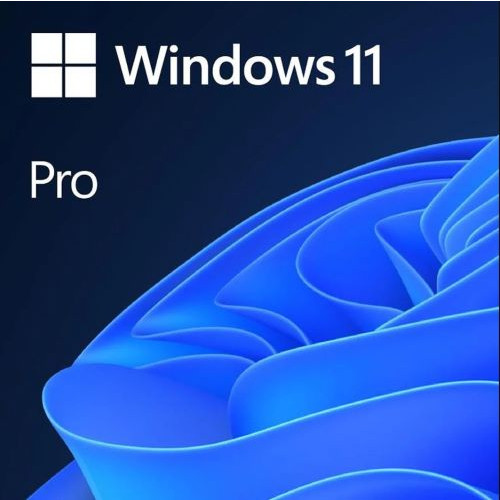 Microsoft Windows 11 Pro HAV-00159 TR Kutulu İşletim Sistemi
