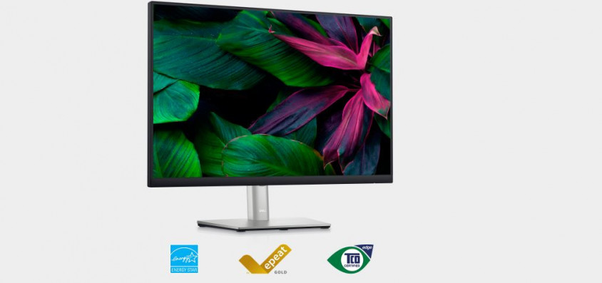 Dell P2423 24″ IPS Full HD Monitör