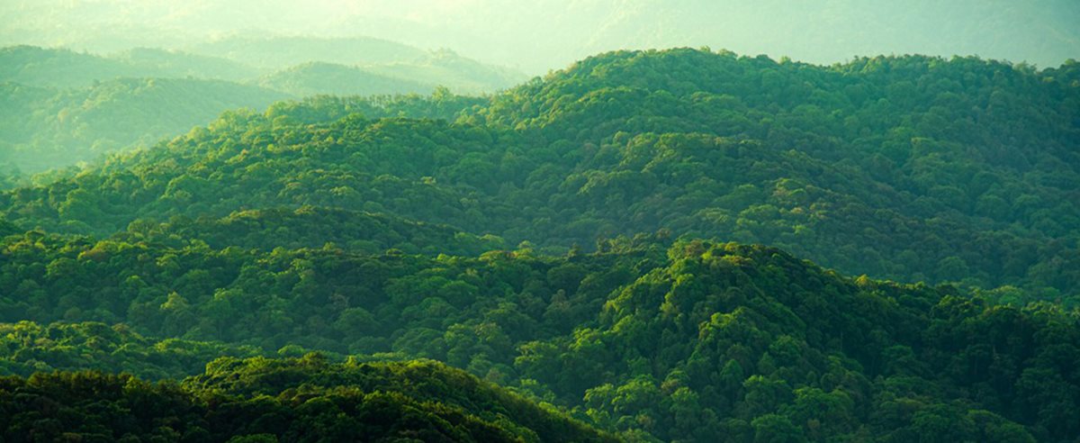 Environmentally forward thinking